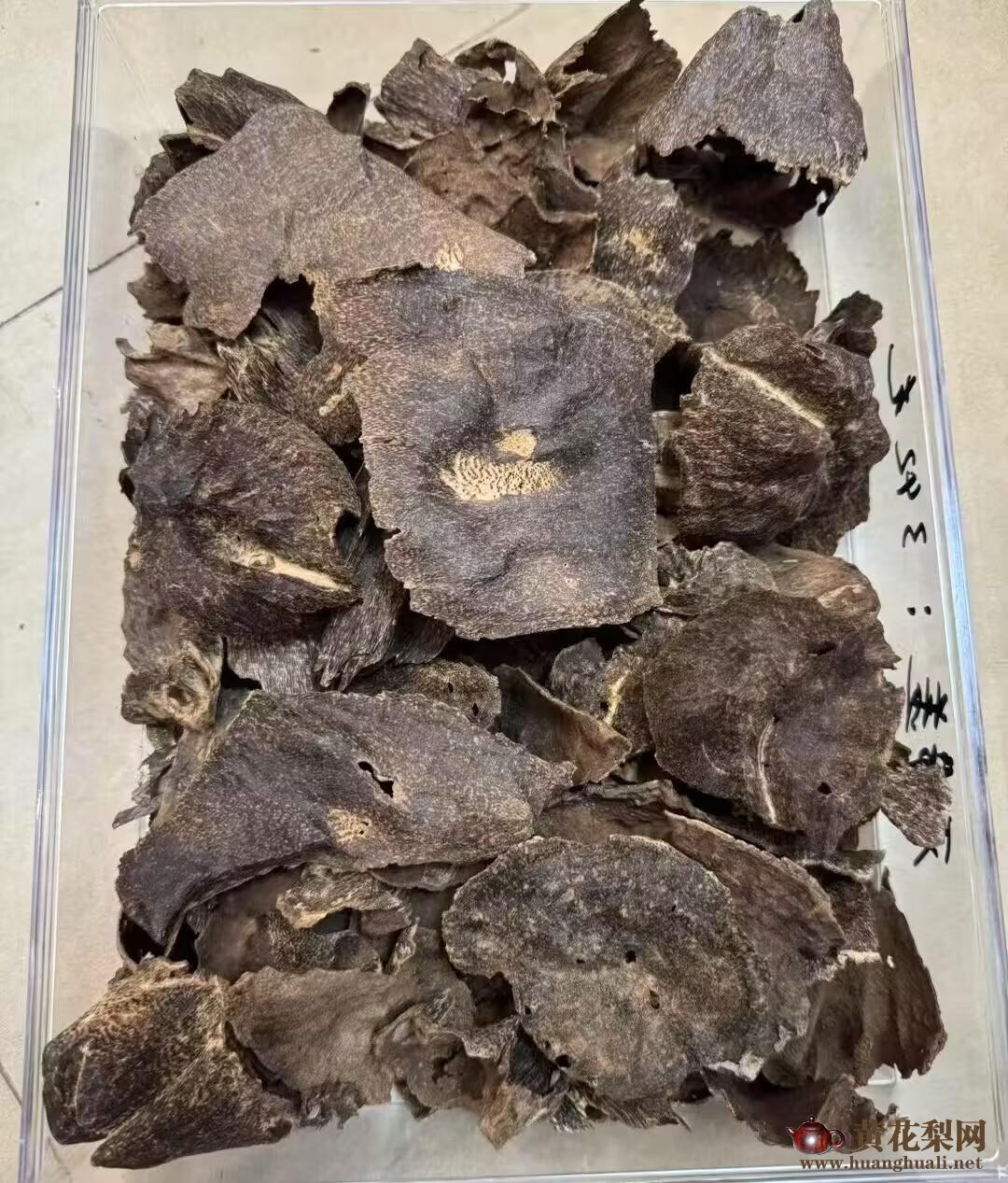 揭秘海南黄花梨与海南沉香 揭秘海南黄花梨与海南沉香